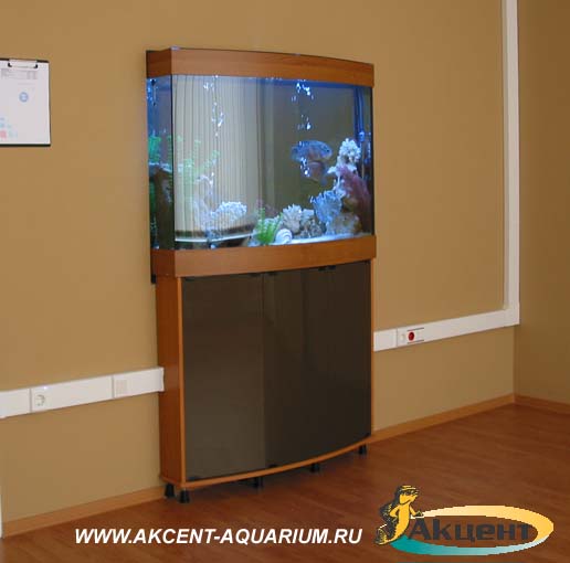 Акцент-аквариум. аквариум просмотровый 300 литров вид со стороны комнаты переговоров